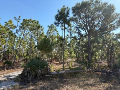 This 7.93 surveyed acre commercial development site is located - photo 21