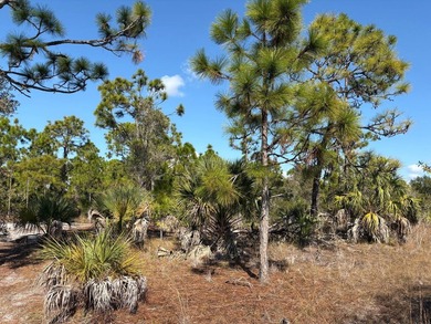 This 7.93 surveyed acre commercial development site is located - photo 22
