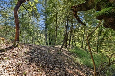 Tucked away in the peaceful redwoods of Boulder Creek, 360 - photo 23