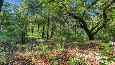 Tucked away in the peaceful redwoods of Boulder Creek, 360 - photo 25