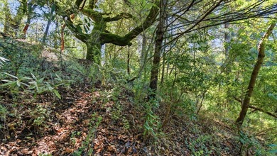 Tucked away in the peaceful redwoods of Boulder Creek, 360 - photo 26