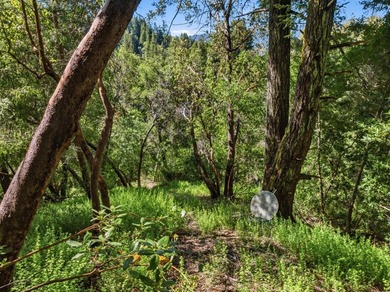Tucked away in the peaceful redwoods of Boulder Creek, 360 - photo 28