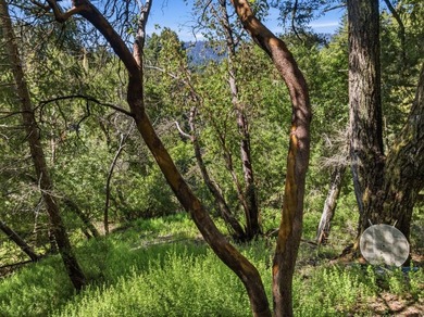 Tucked away in the peaceful redwoods of Boulder Creek, 360 - photo 29