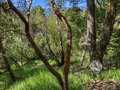 Tucked away in the peaceful redwoods of Boulder Creek, 360 - photo 30