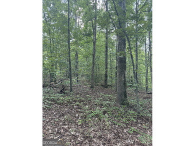 Additional listing photo 1