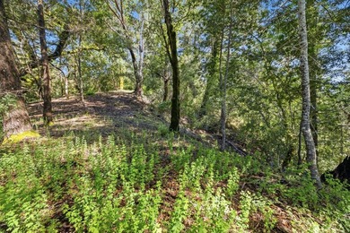 Tucked away in the peaceful redwoods of Boulder Creek, 360 - photo 32