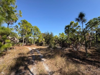 This 7.93 surveyed acre commercial development site is located - photo 32