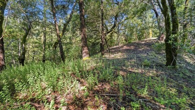 Tucked away in the peaceful redwoods of Boulder Creek, 360 - photo 33