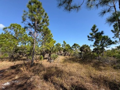 This 7.93 surveyed acre commercial development site is located - photo 33