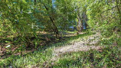 Tucked away in the peaceful redwoods of Boulder Creek, 360 - photo 34