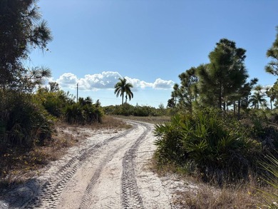 This 7.93 surveyed acre commercial development site is located - photo 34