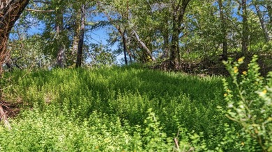 Tucked away in the peaceful redwoods of Boulder Creek, 360 - photo 35