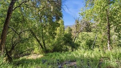 Tucked away in the peaceful redwoods of Boulder Creek, 360 - photo 36