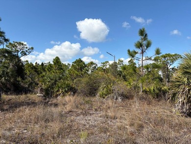 This 7.93 surveyed acre commercial development site is located - photo 36