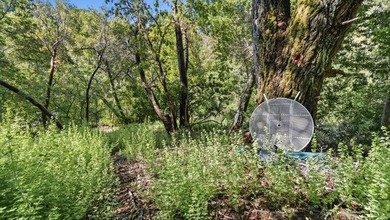 Tucked away in the peaceful redwoods of Boulder Creek, 360 - photo 37