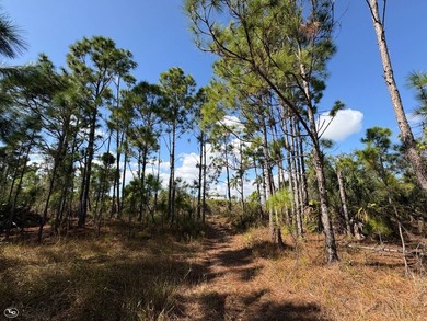 This 7.93 surveyed acre commercial development site is located - photo 37