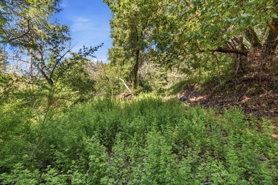 Tucked away in the peaceful redwoods of Boulder Creek, 360 - photo 38