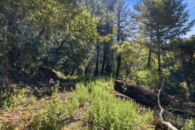 Tucked away in the peaceful redwoods of Boulder Creek, 360 - photo 39