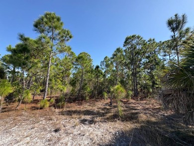 This 7.93 surveyed acre commercial development site is located - photo 39
