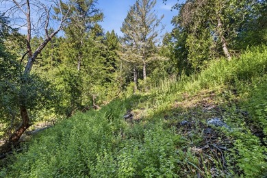 Tucked away in the peaceful redwoods of Boulder Creek, 360 - photo 41