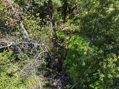 Tucked away in the peaceful redwoods of Boulder Creek, 360 - photo 43