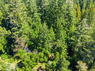 Tucked away in the peaceful redwoods of Boulder Creek, 360 - photo 44