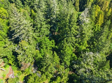 Tucked away in the peaceful redwoods of Boulder Creek, 360 - photo 45