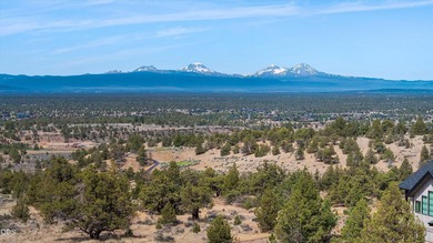 Experience luxury living on this 1-acre lot on Paragon Court - photo 47