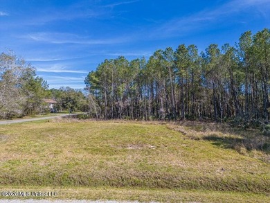 This large, beautiful cleared corner lot is perfectly situated - photo 1