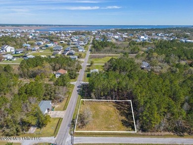 This large, beautiful cleared corner lot is perfectly situated - photo 2