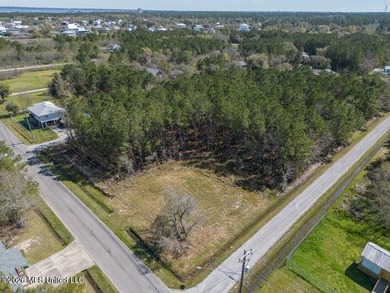 This large, beautiful cleared corner lot is perfectly situated - photo 3