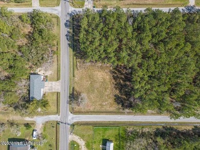 This large, beautiful cleared corner lot is perfectly situated - photo 4