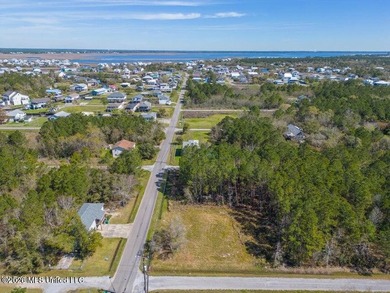 This large, beautiful cleared corner lot is perfectly situated - photo 5