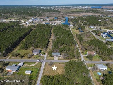 This large, beautiful cleared corner lot is perfectly situated - photo 7