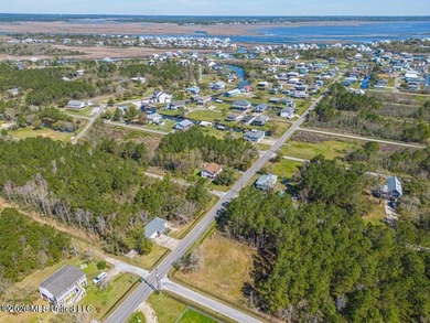 This large, beautiful cleared corner lot is perfectly situated - photo 8