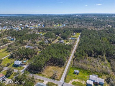 This large, beautiful cleared corner lot is perfectly situated - photo 10