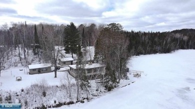 Lake Home For Sale in Side Lake, Minnesota