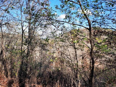 (private lake, pond, creek) Acreage For Sale in Mountain View Arkansas