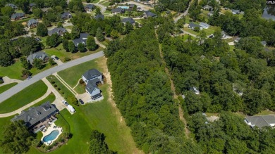 PLEASE VIEW VIRTUAL TOUR LINK! Build your dream home on this - photo 11