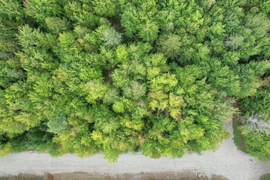 Beautiful Elevated Lot just outside the City of EllsworthThis 4 - photo 12