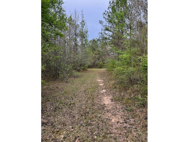 Located in Kemper County, Mississippi, this 42.5+/- acre tract - photo 12