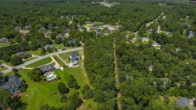 PLEASE VIEW VIRTUAL TOUR LINK! Build your dream home on this - photo 13