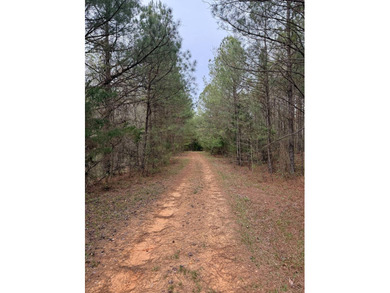 Located in Kemper County, Mississippi, this 42.5+/- acre tract - photo 14