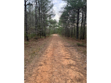 Located in Kemper County, Mississippi, this 42.5+/- acre tract - photo 15