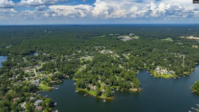 PLEASE VIEW VIRTUAL TOUR LINK! Build your dream home on this - photo 18