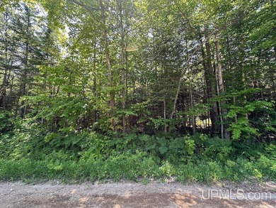 Lake Superior - Alger County Acreage For Sale in Grand Marais Michigan