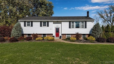 (private lake, pond, creek) Home Sale Pending in Akron New York