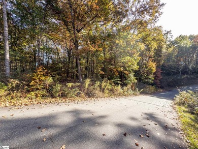 Create your dream lake lifestyle on this beautiful .92-acre lot - photo 6