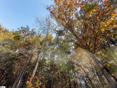 Create your dream lake lifestyle on this beautiful .92-acre lot - photo 9