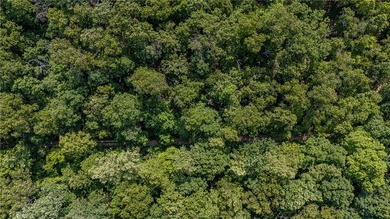 Build your dream home on this 1.08 Acres +/- wooded homesite - photo 4